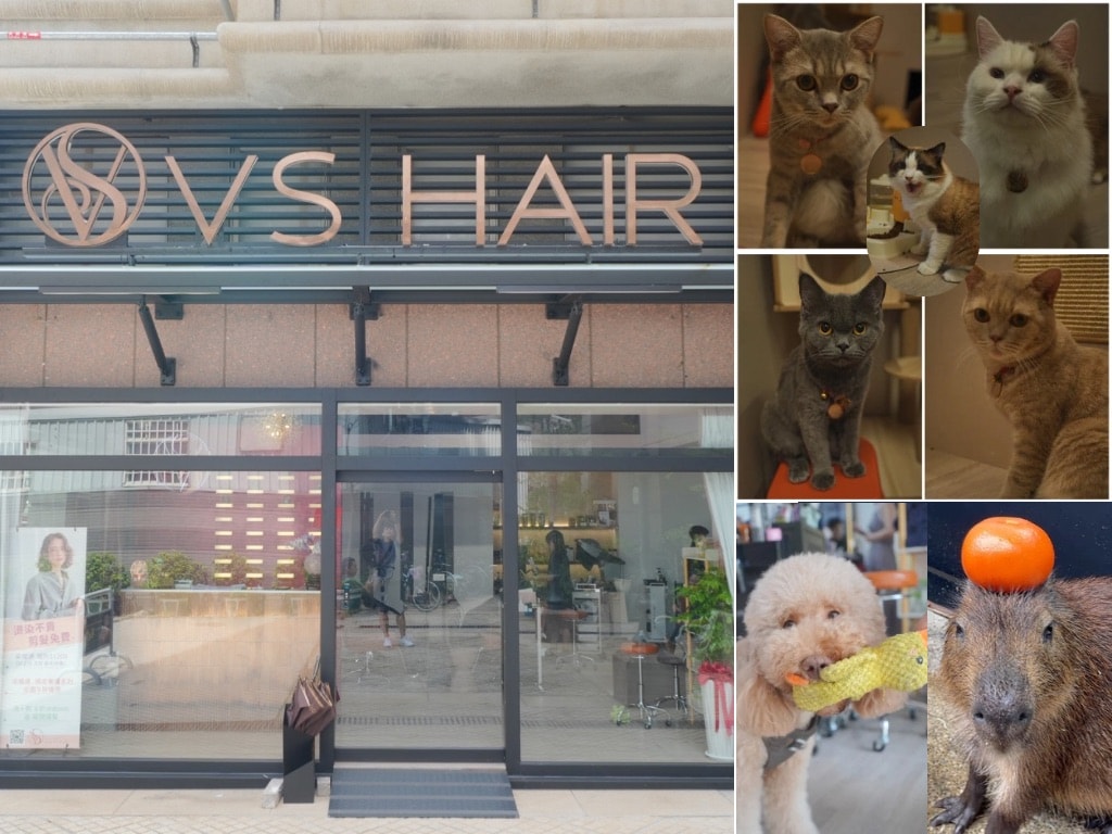 【VS Hair salon】台中西屯剪髮、最新無痕髮根燙推薦